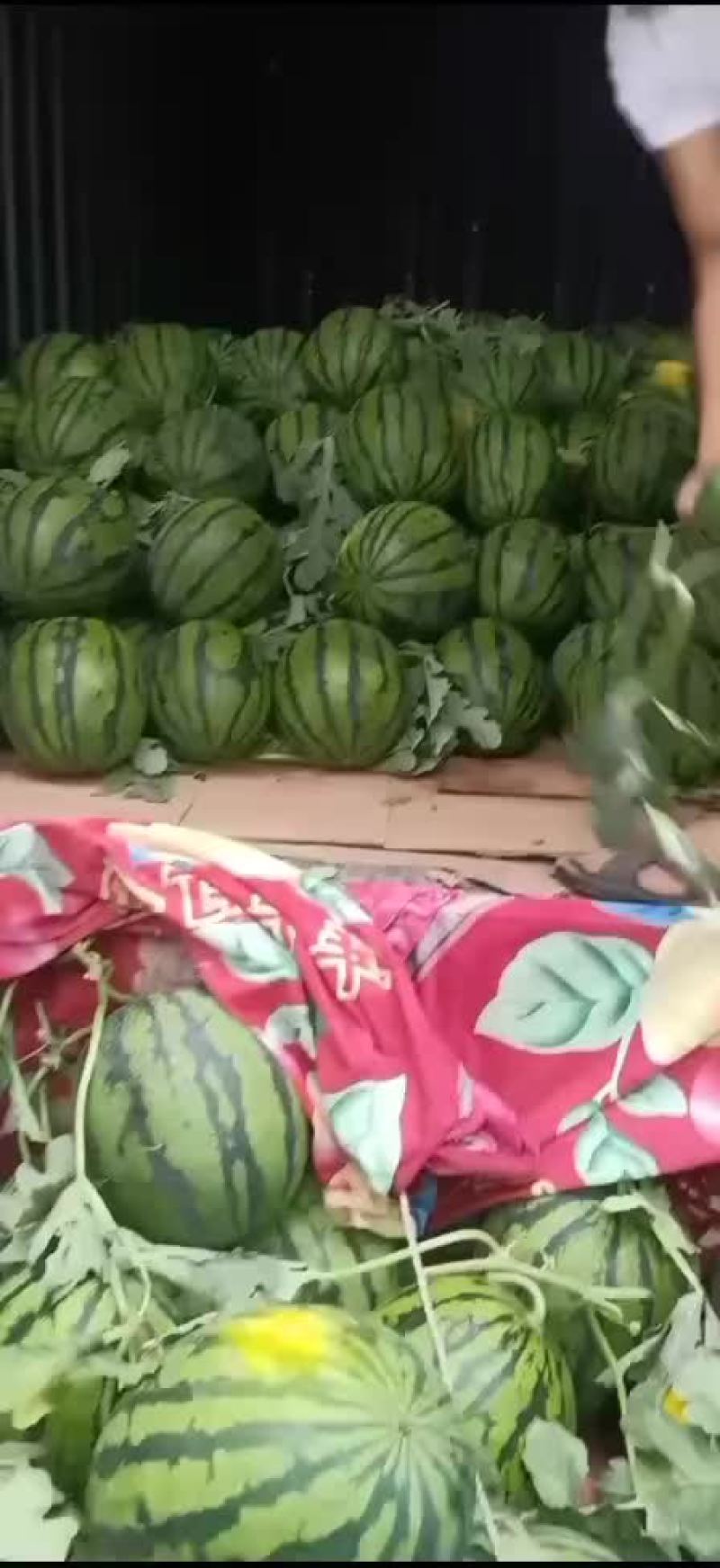 西瓜