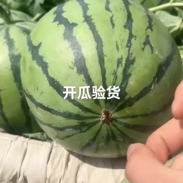 西瓜