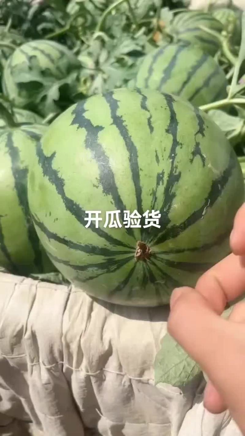 西瓜