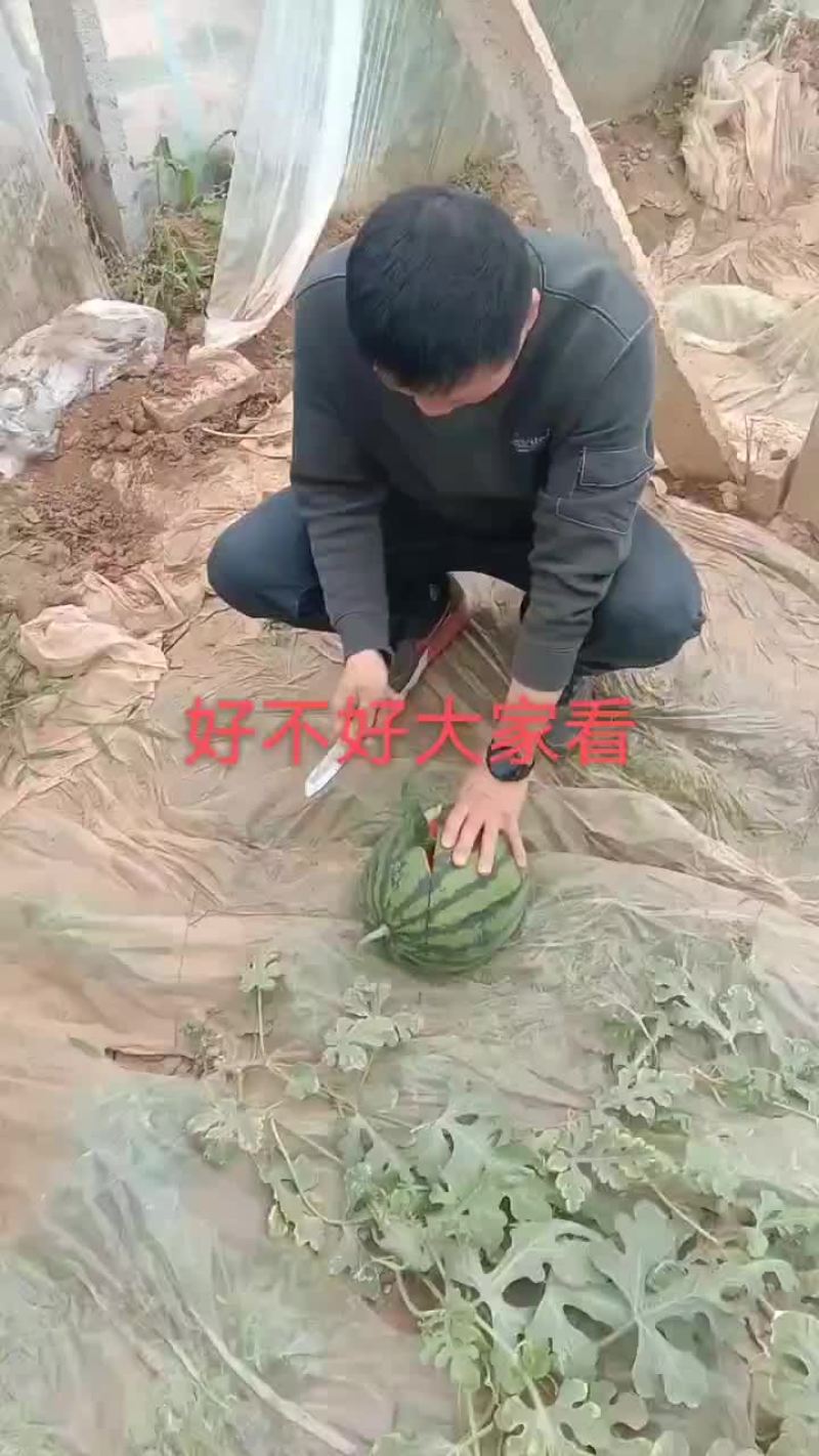 西瓜