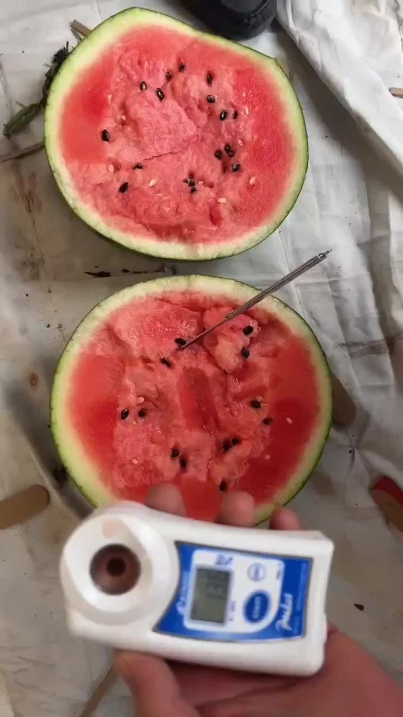 甜王