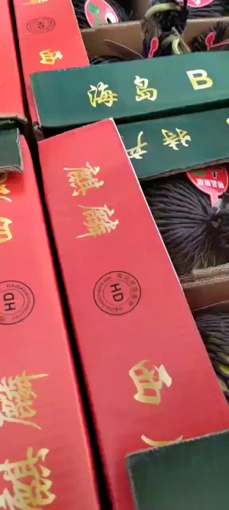 精品头茬无籽美都西瓜