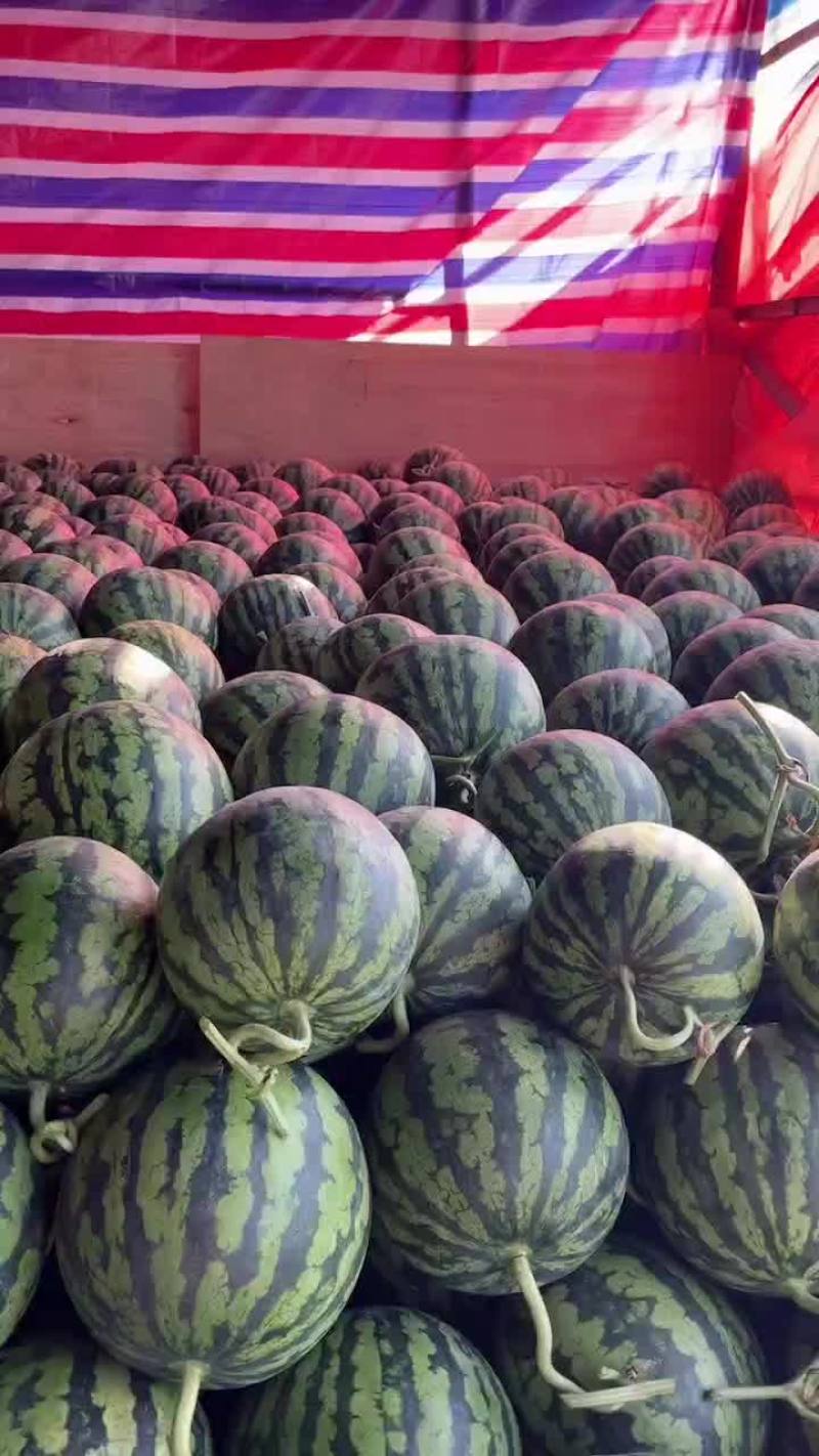 精品头茬无籽美都西瓜