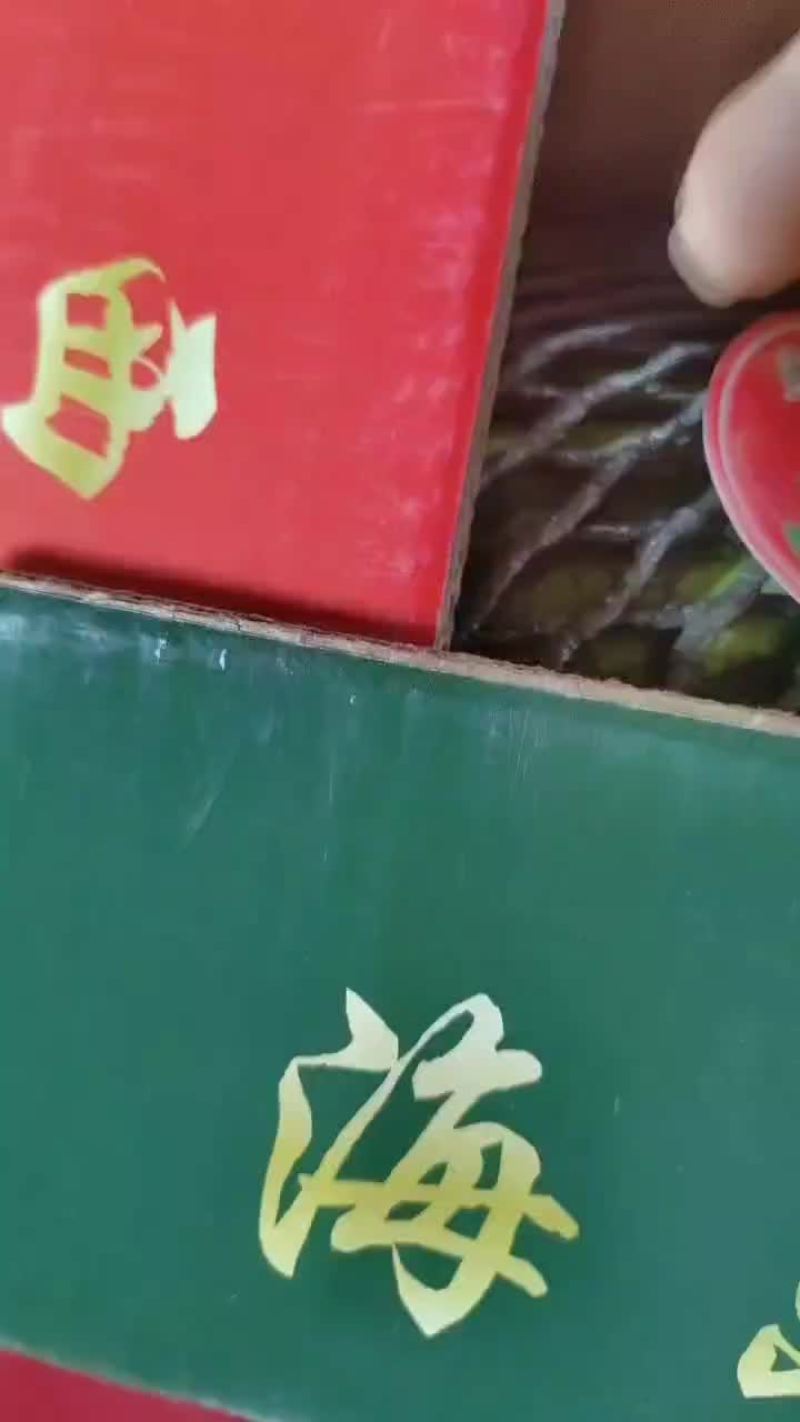 精品头茬无籽美都西瓜