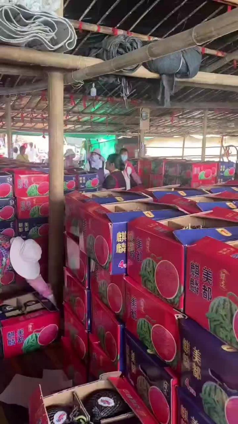 精品头茬无籽美都西瓜