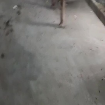 辽宁产地直发，质量保证欢迎联系黄焦苹果