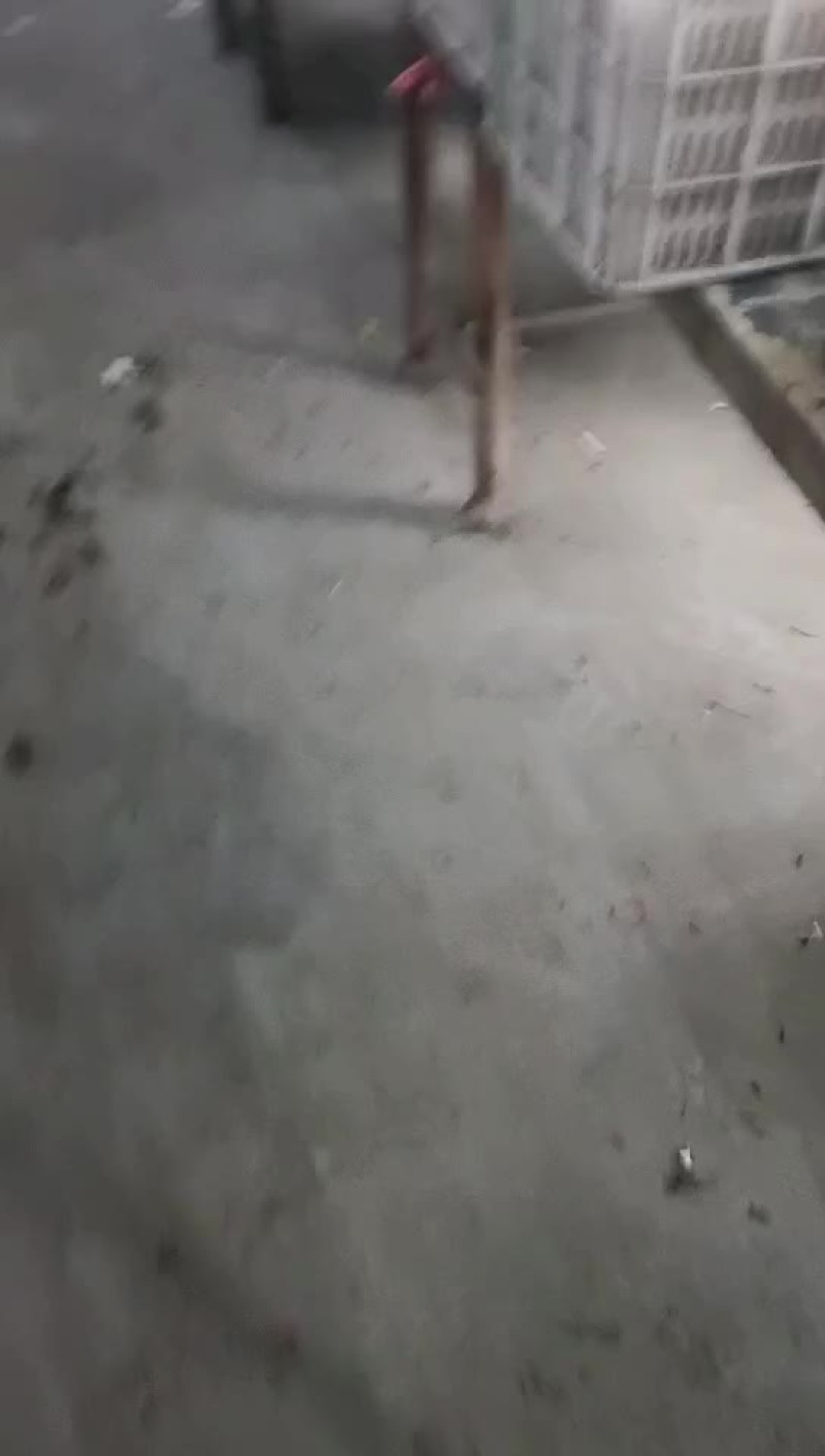辽宁产地直发，质量保证欢迎联系黄焦苹果