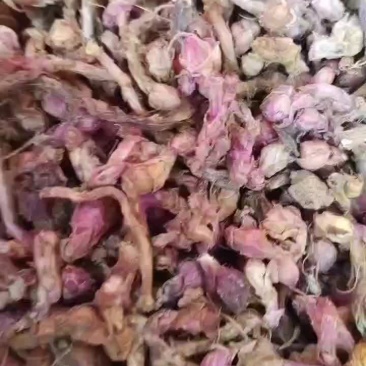 款冬花质量保障量大从优对接全国欢迎订购