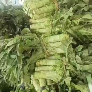 莴苣杆子，叶子莴苣都有