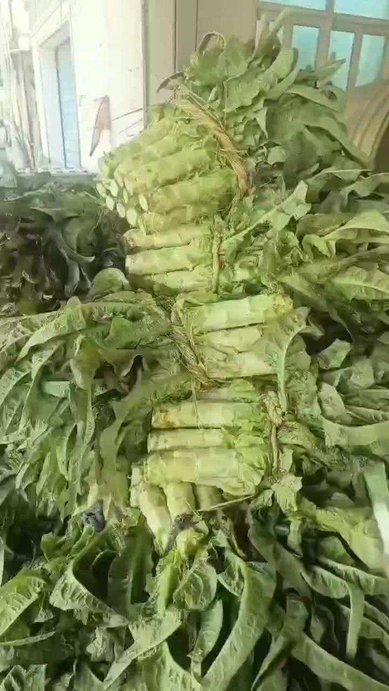 莴苣杆子，叶子莴苣都有