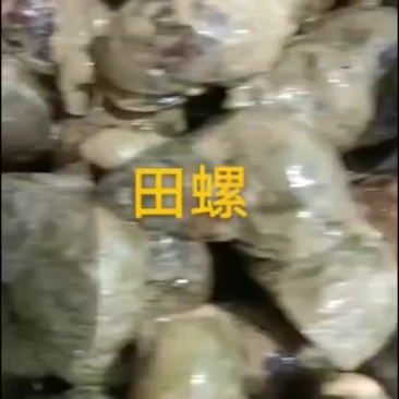 田螺