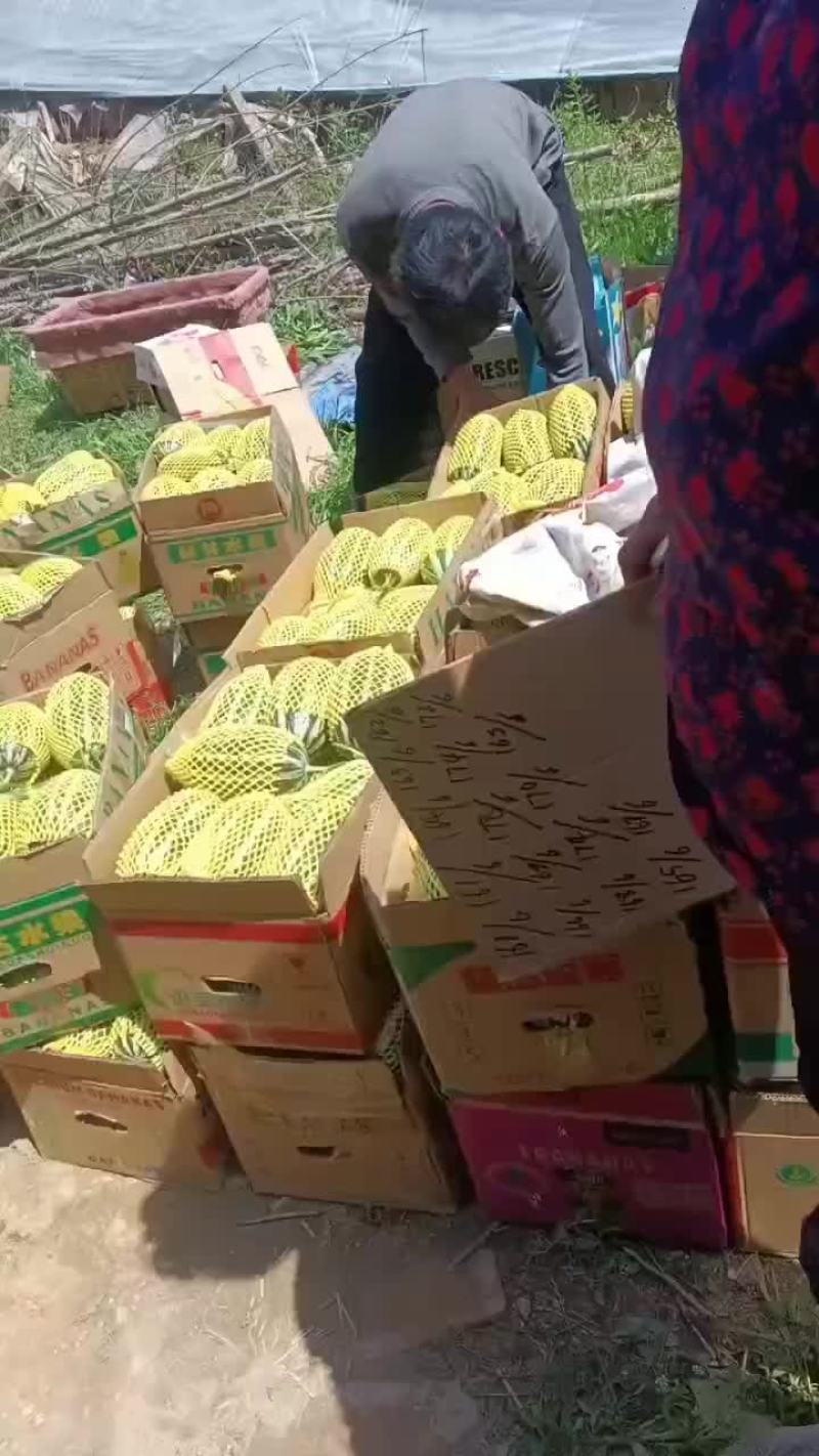 博洋九大量有货