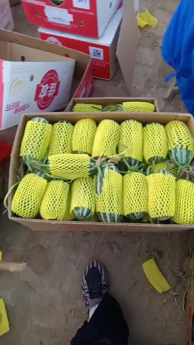 博洋九大量有货