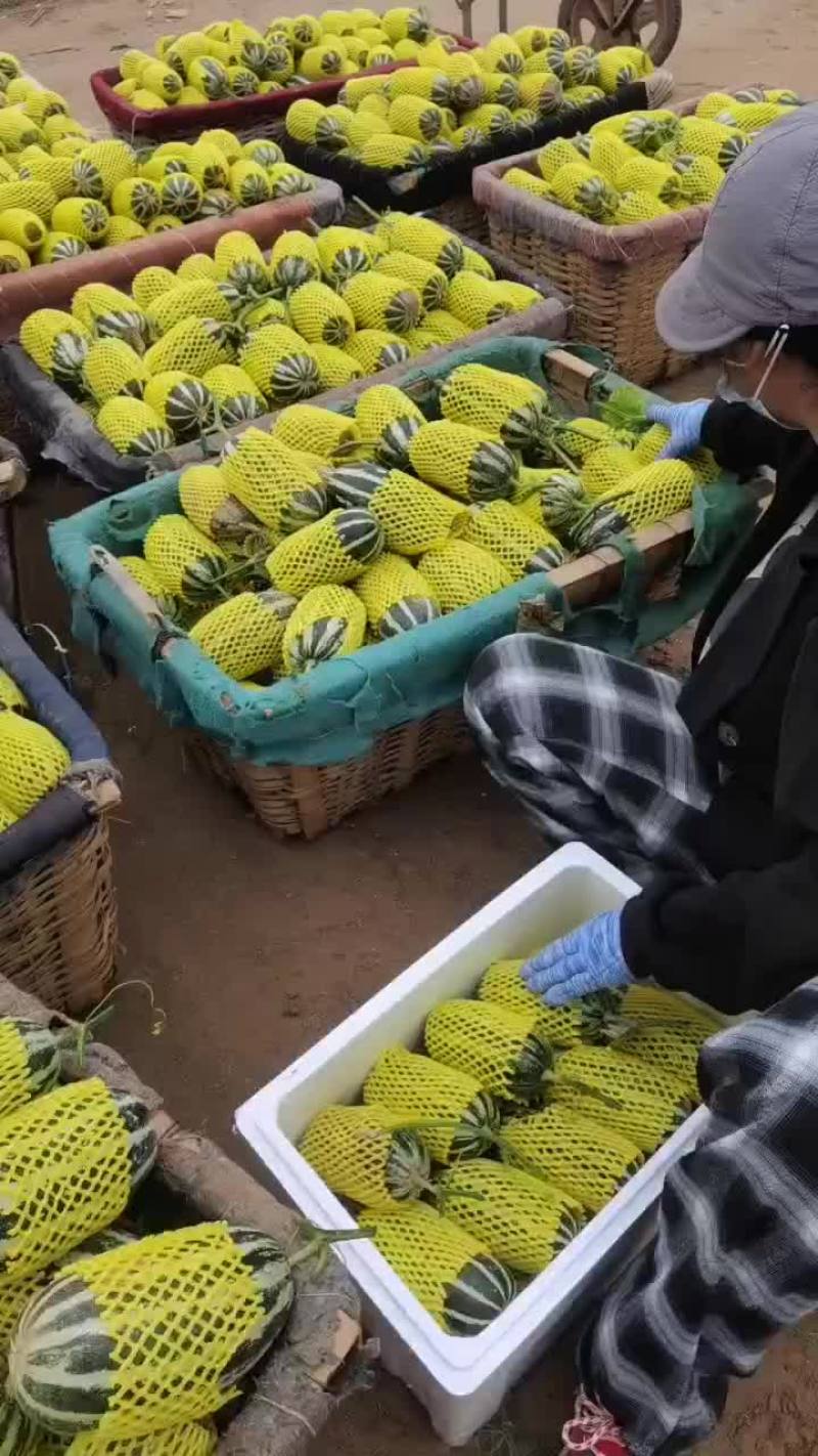 博洋九大量有货