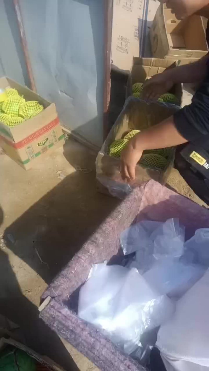 博洋九大量有货