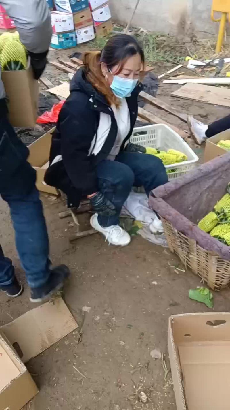 博洋九大量有货