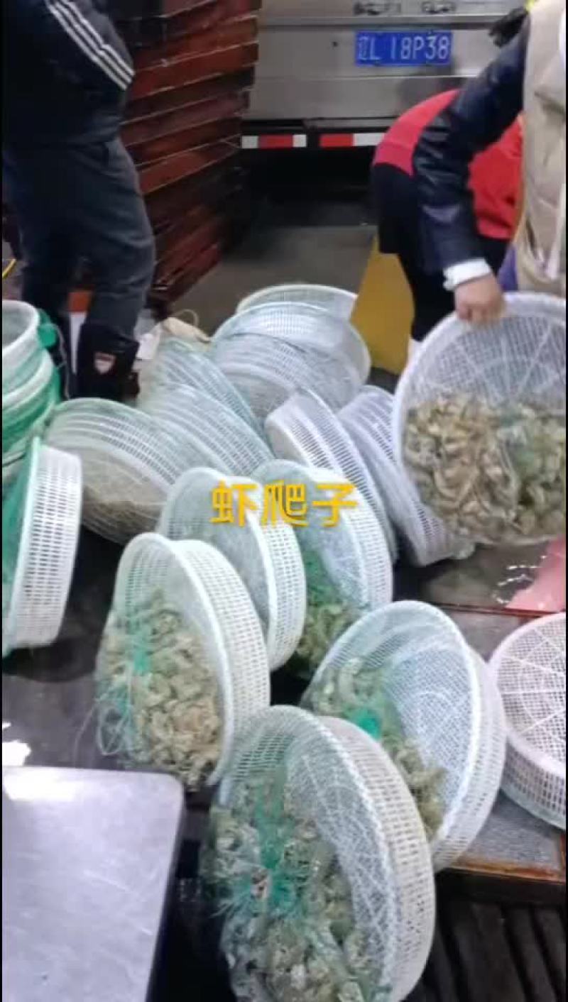 虾爬子