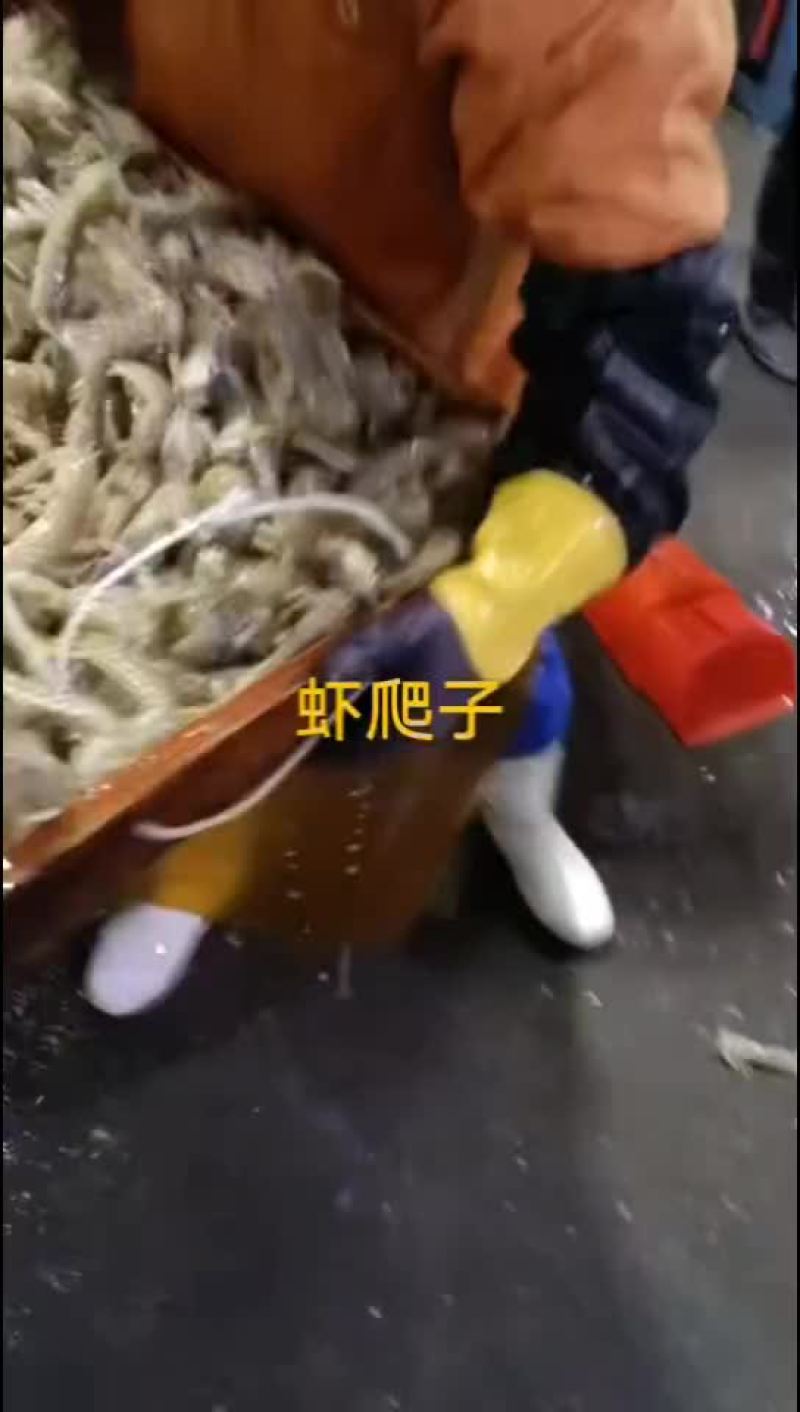 虾爬子