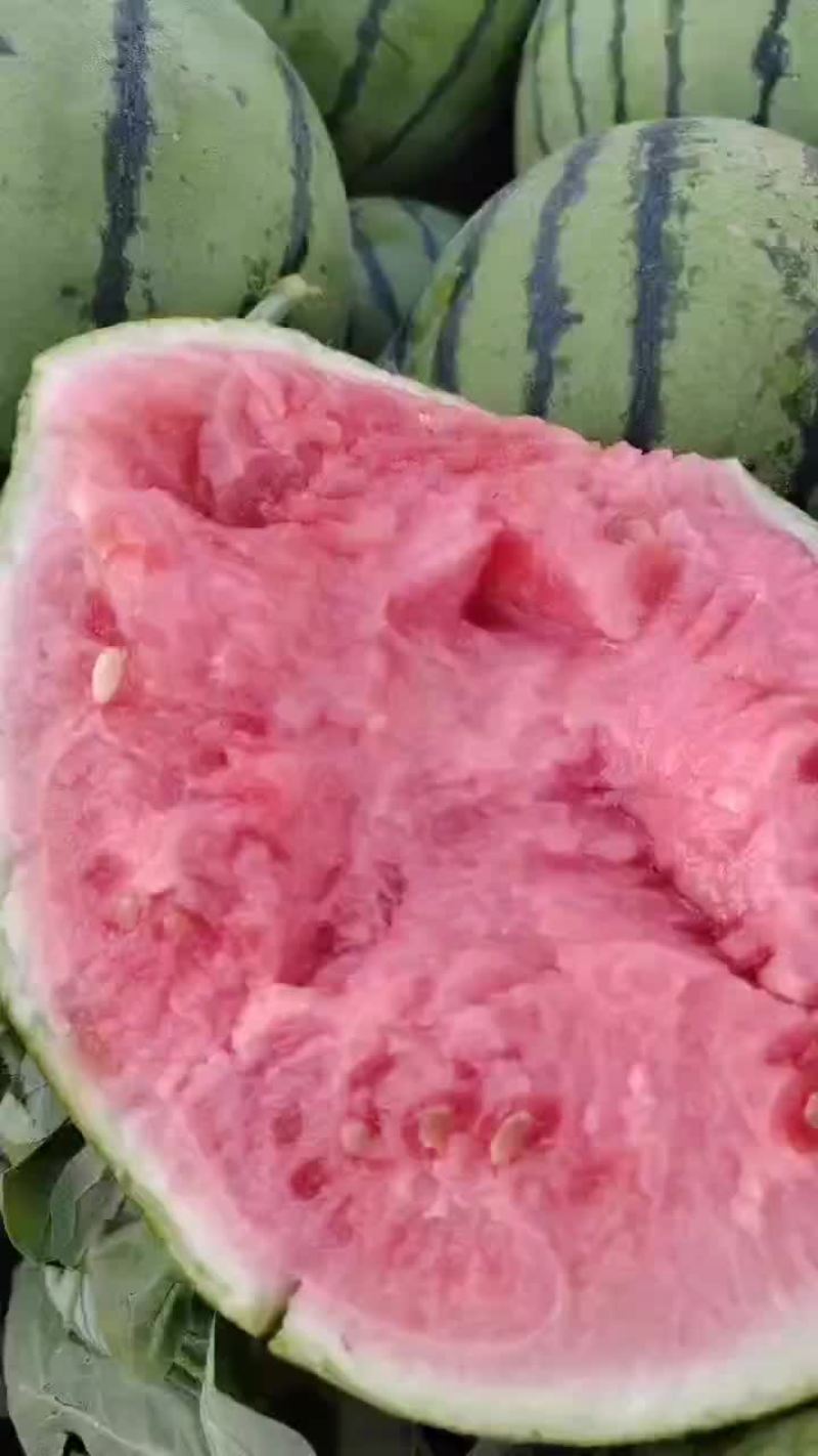 精品头茬无籽美都711