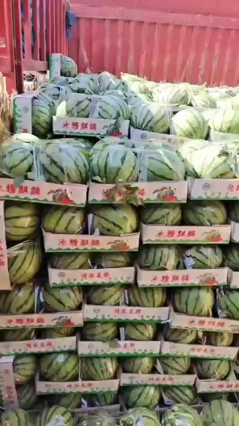 精品头茬无籽美都711