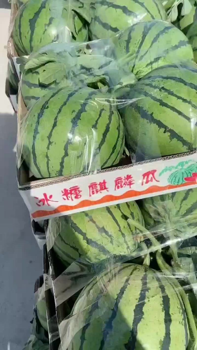 精品头茬无籽美都711
