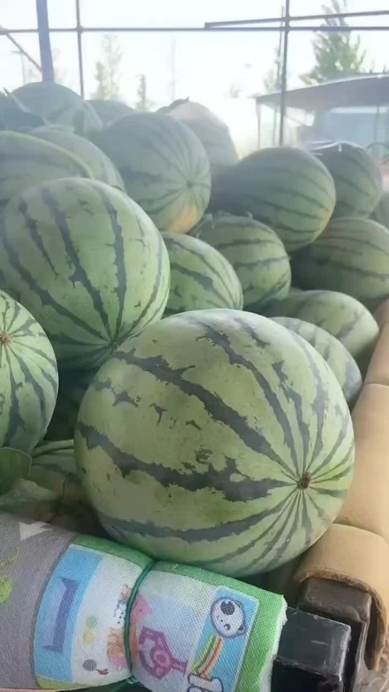 精品头茬无籽美都711