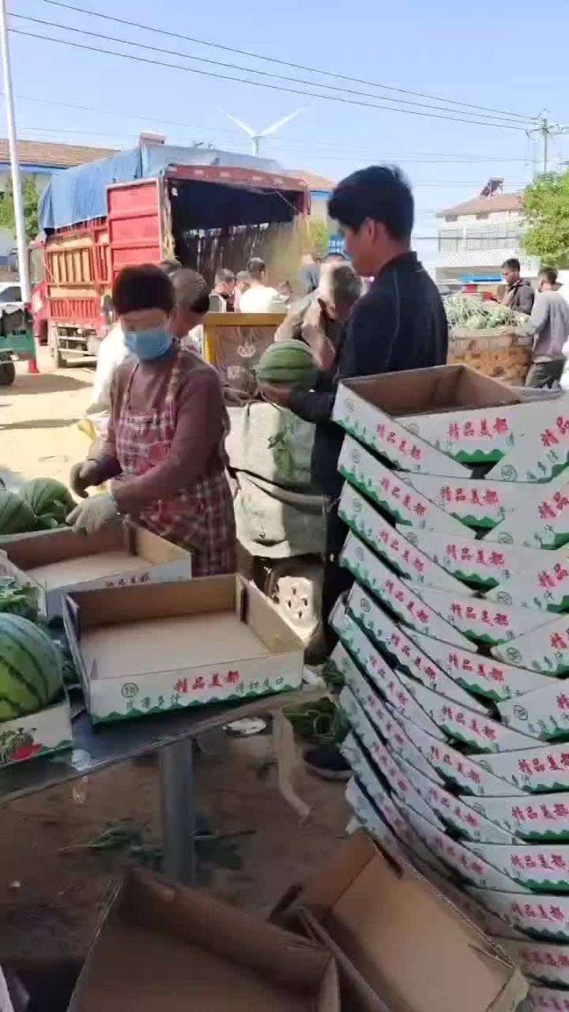 精品头茬无籽美都711