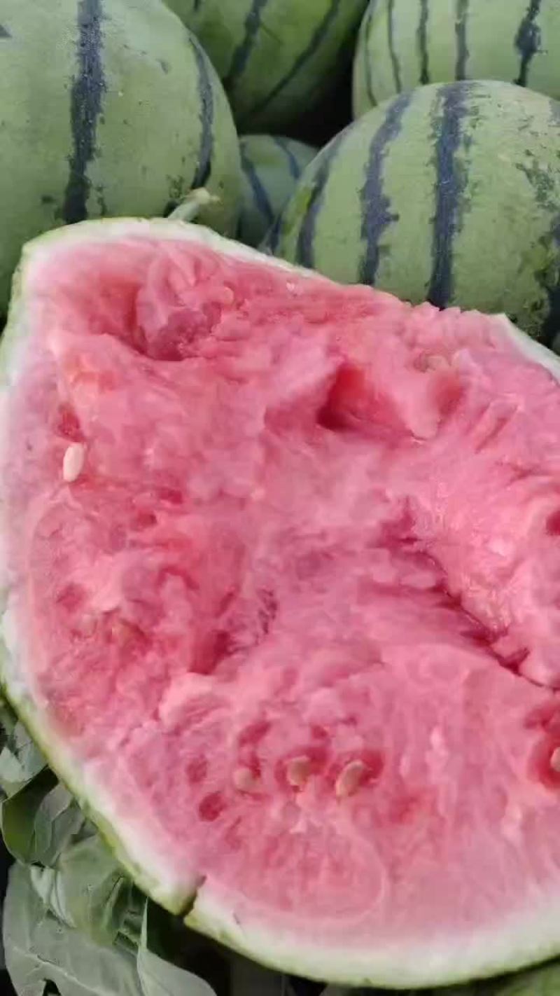 精品头茬无籽美都711