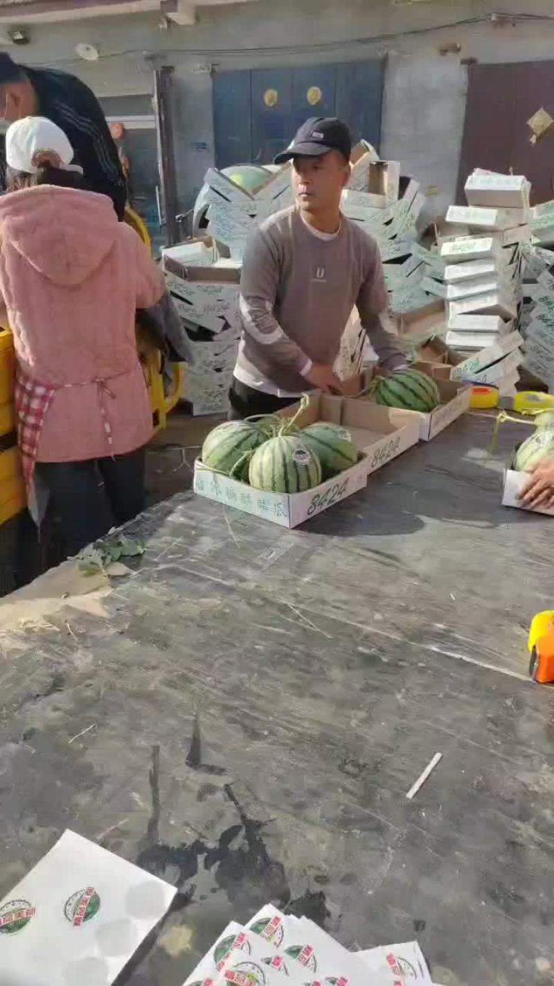 精品头茬无籽美都711