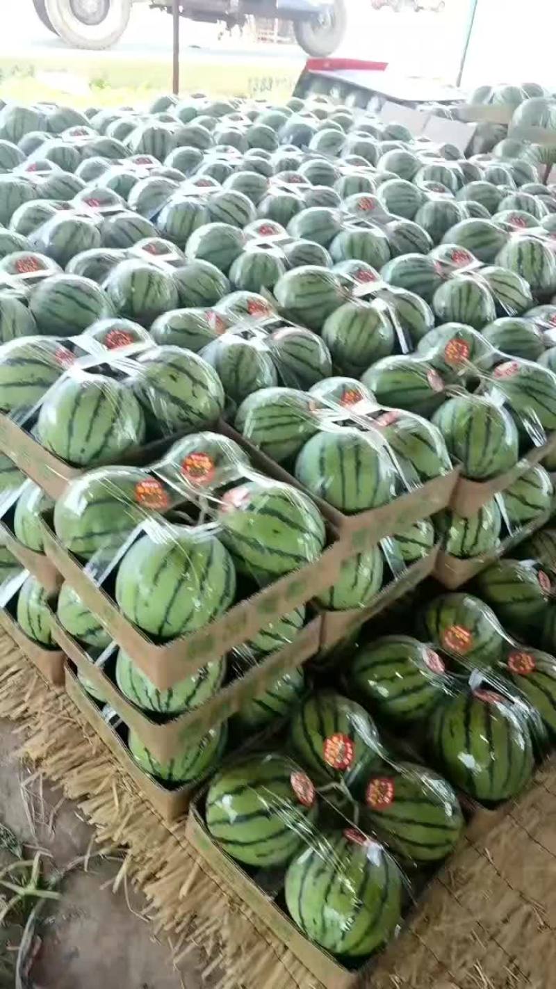 精品头茬无籽美都711