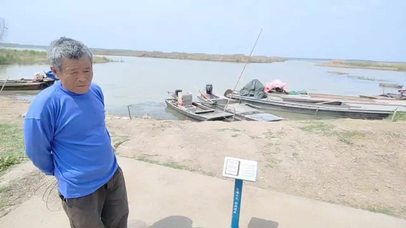 优质龙虾苗，