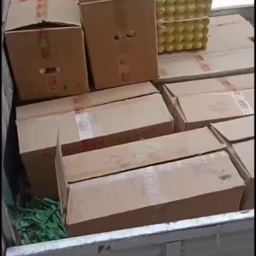 四川乡户鹅蛋