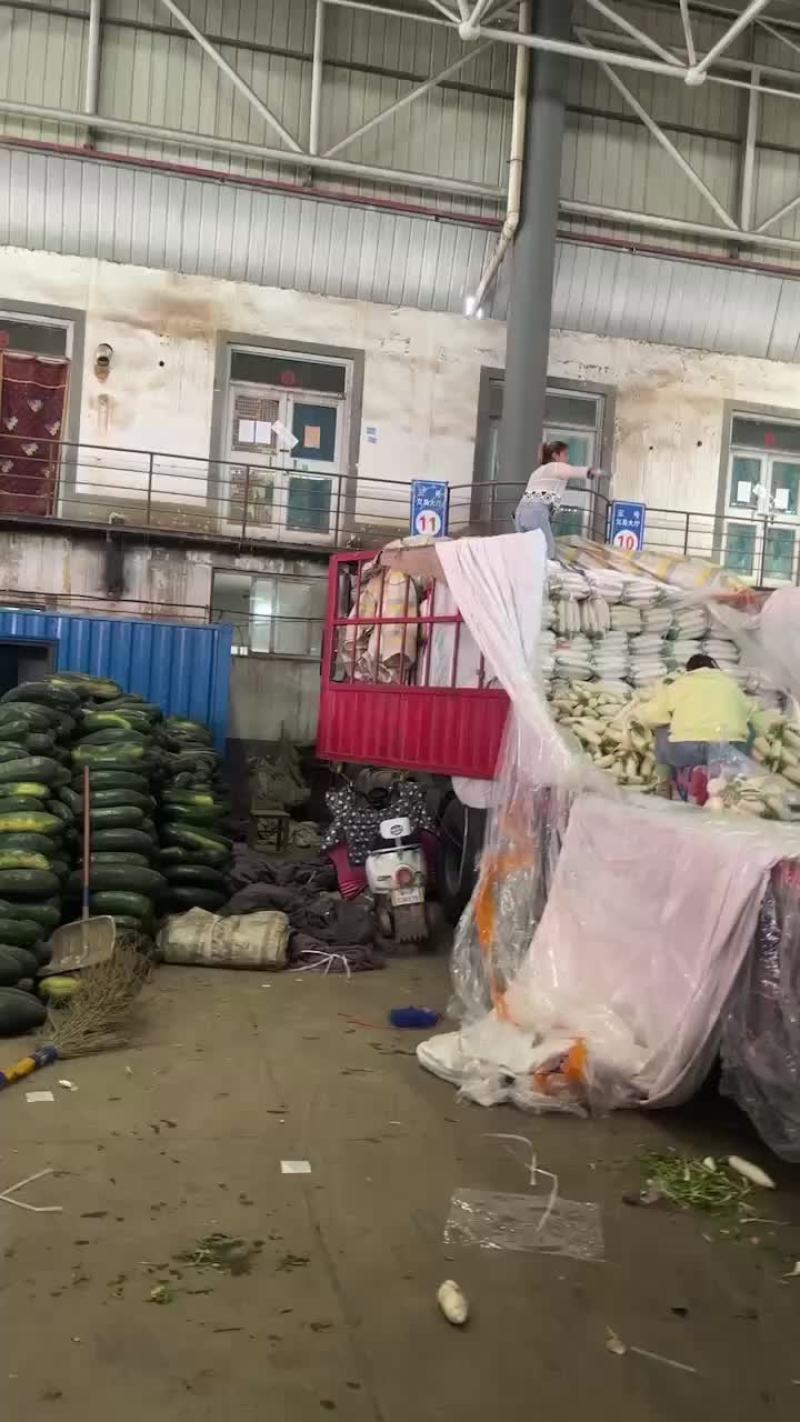 精品蔬菜