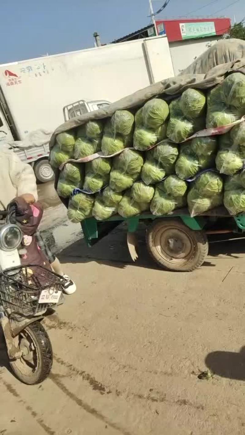 精品蔬菜