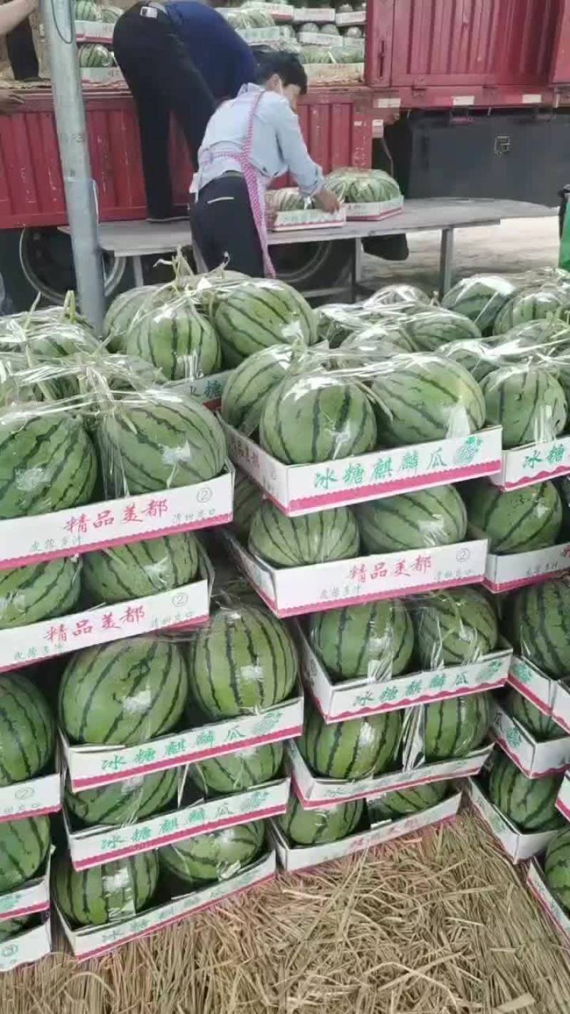 精品美都