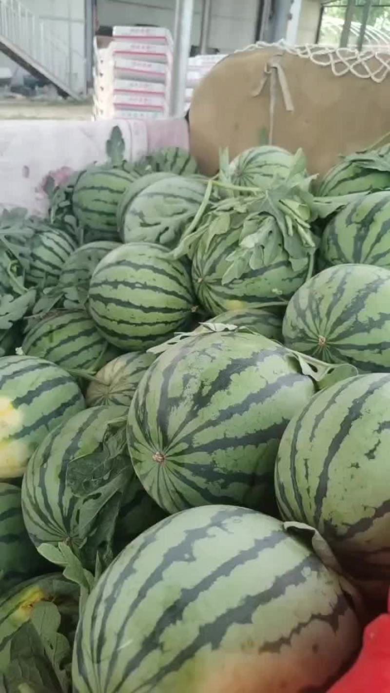 精品美都