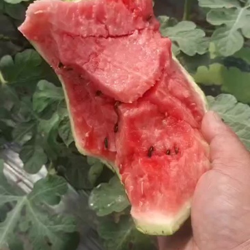 美都大量上市
