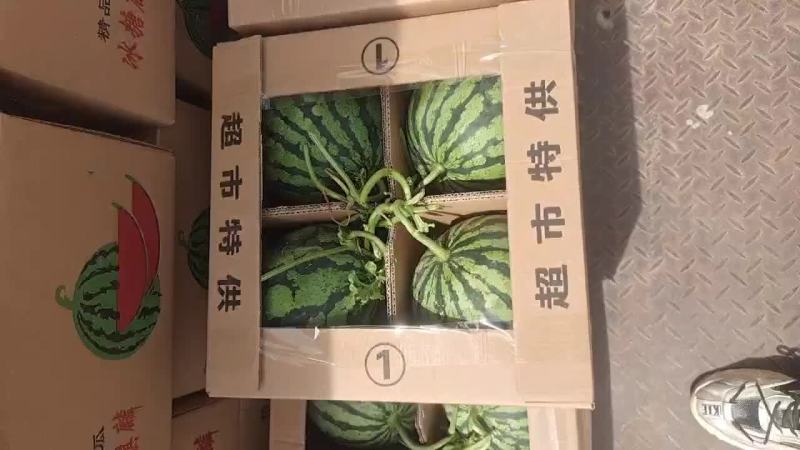美都大量上市