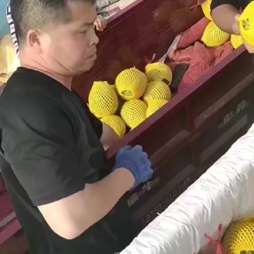 西瓜