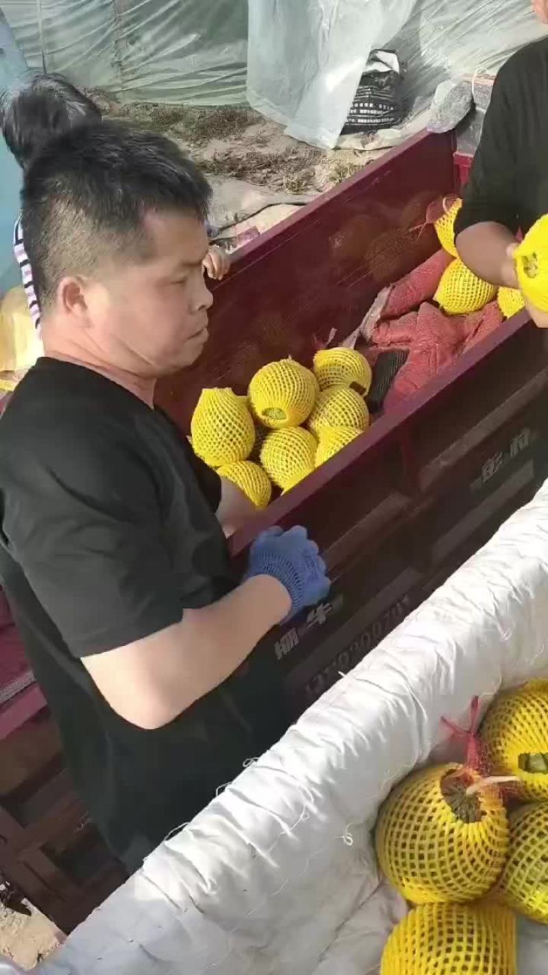 西瓜