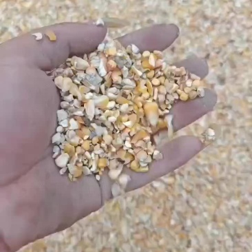碎玉米