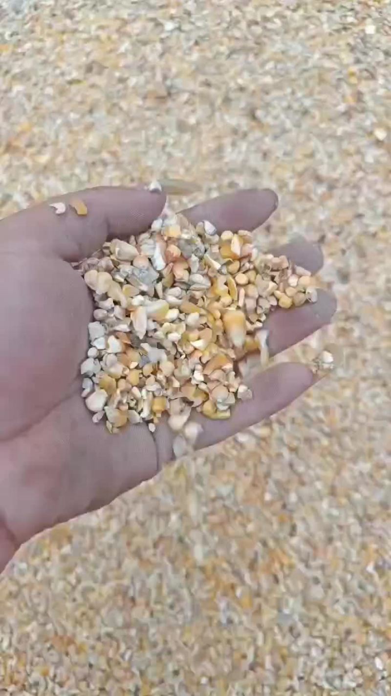 碎玉米