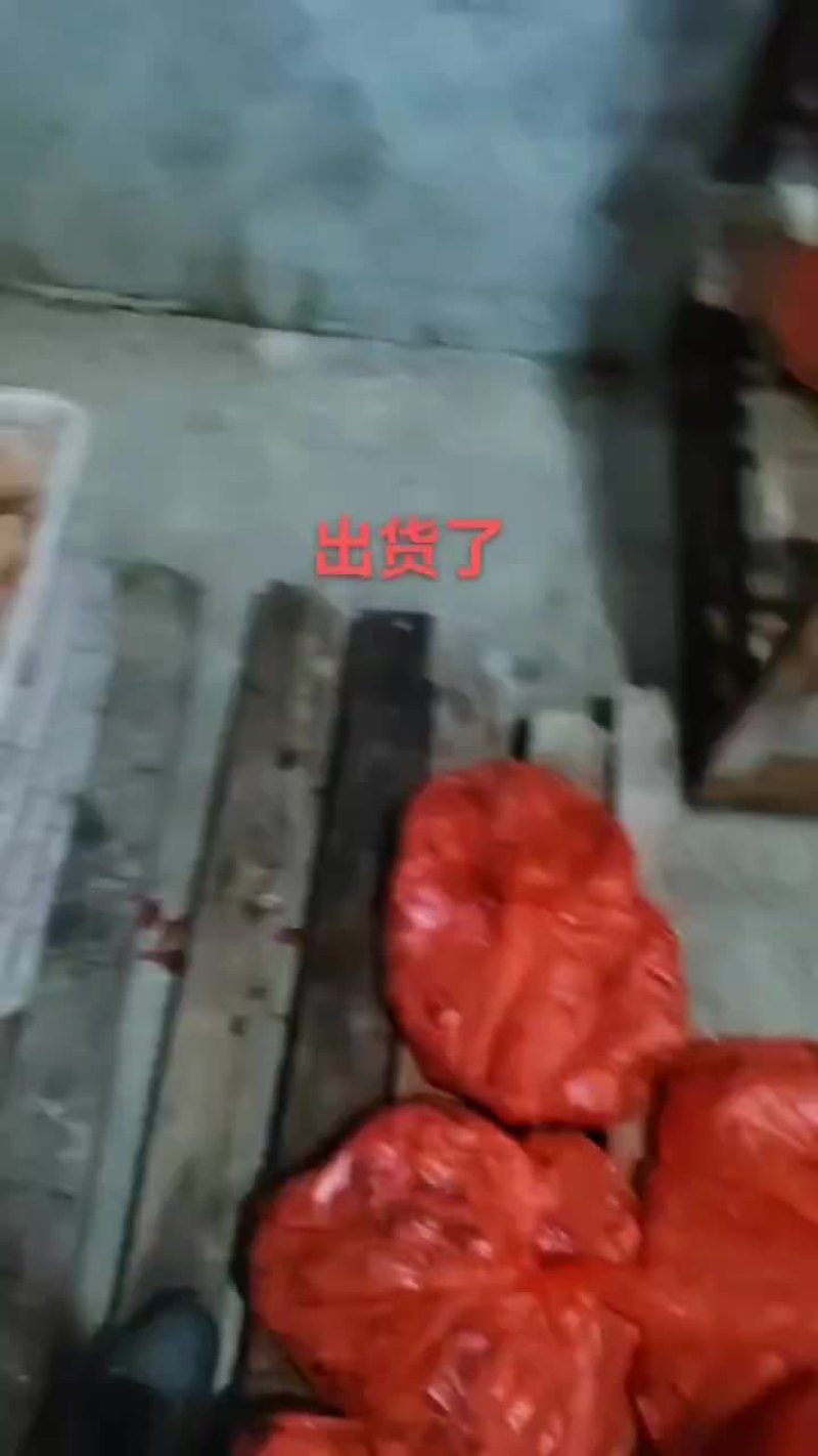 白条鹅