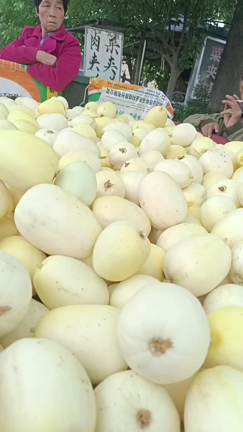 甜瓜，吊兰西瓜