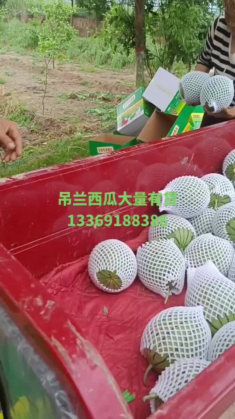 甜瓜，吊兰西瓜