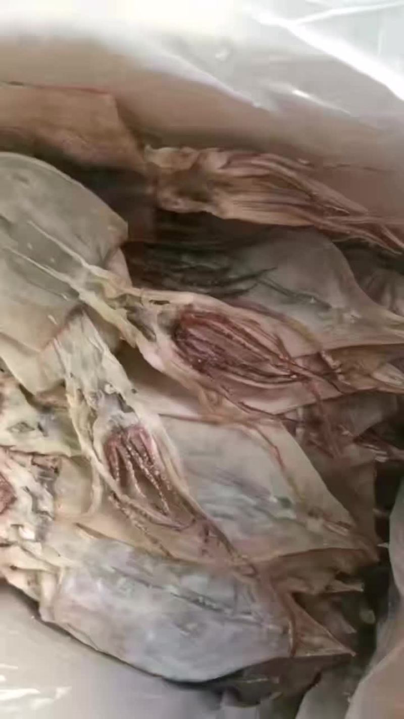 鱿鱼干，啊鱿鱿鱼干，品质高，干度高，可以定制，保证质量，