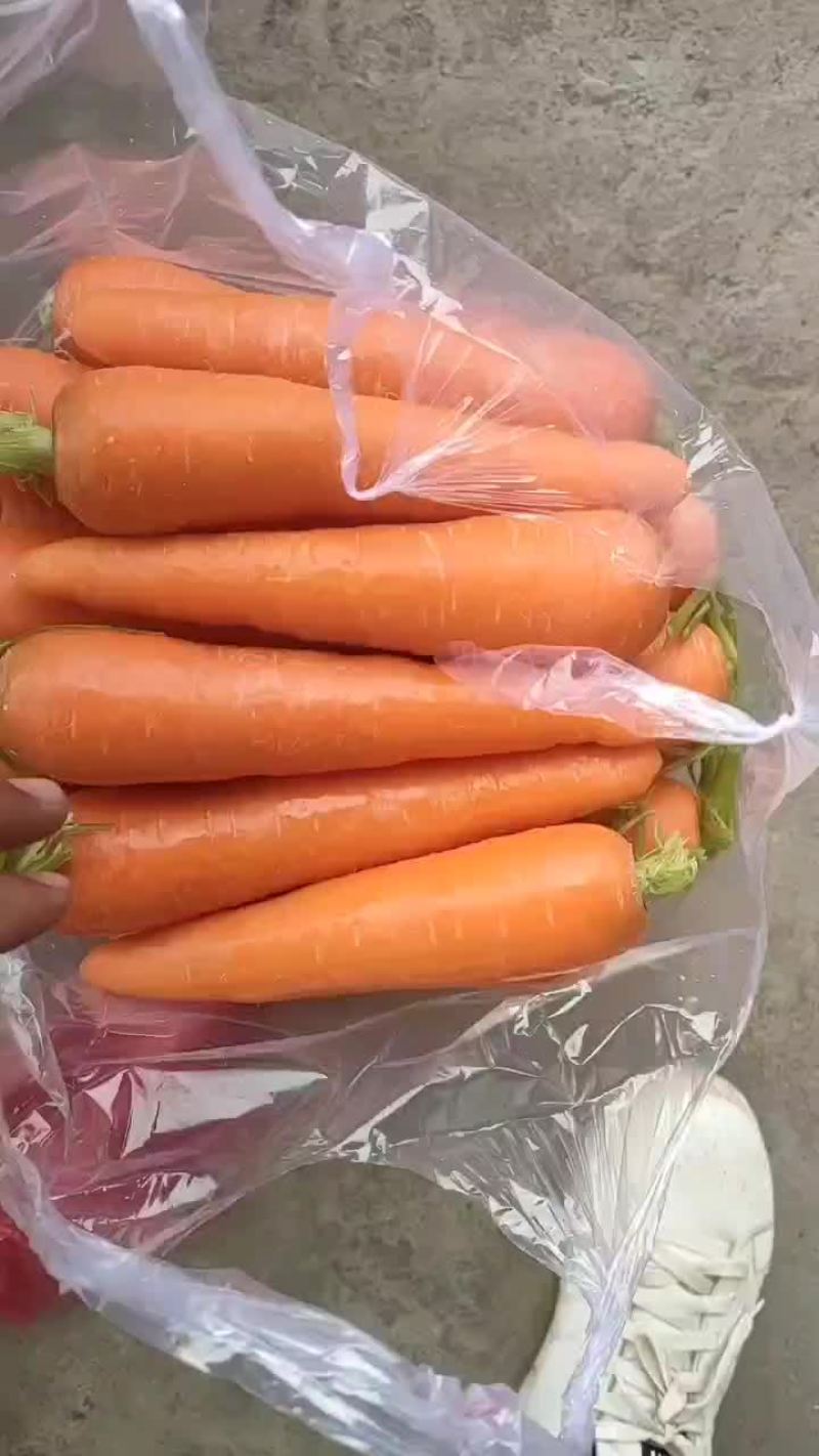 水洗胡萝卜
