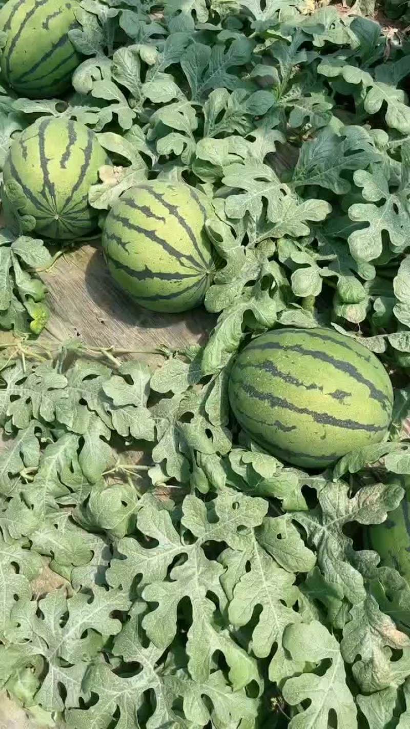 长期，稳定，靠谱