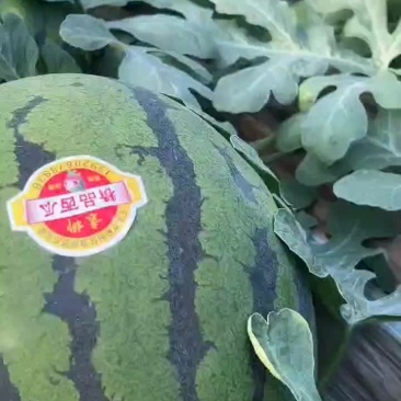 长期稳定靠谱