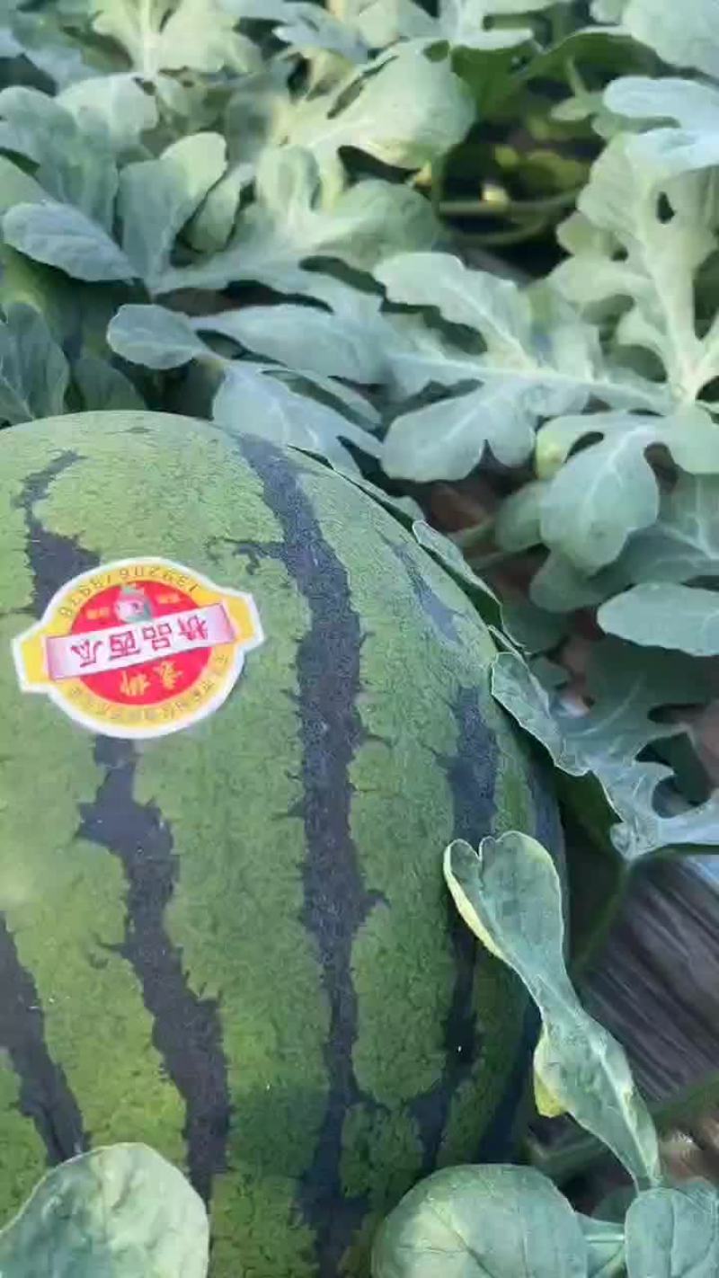 长期稳定靠谱